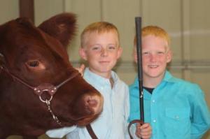 Image of kids with steer.
